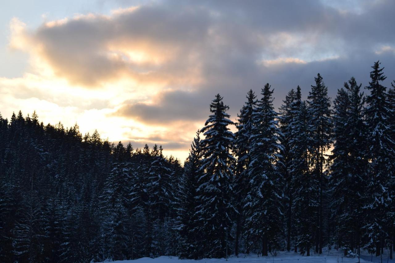 Grand Harrachov Pension V Centru Екстер'єр фото