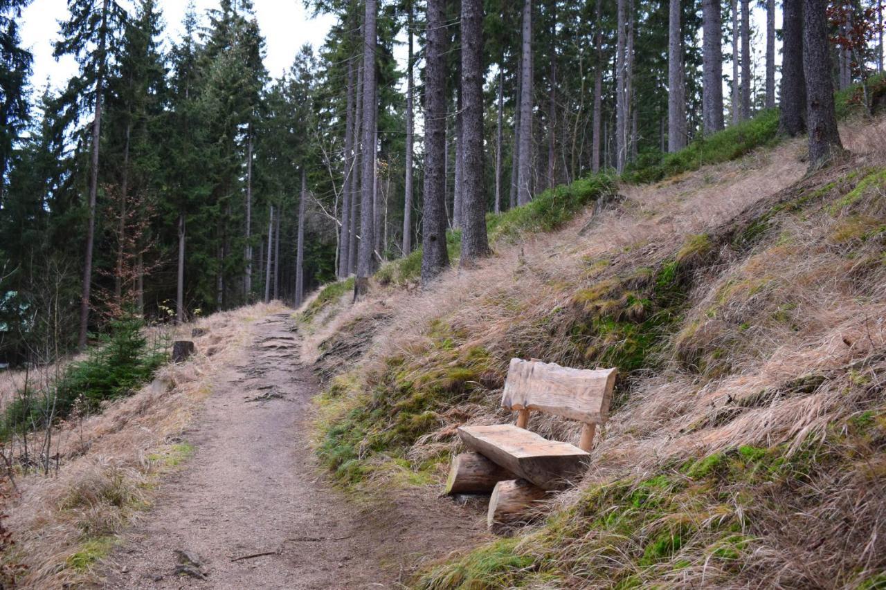 Grand Harrachov Pension V Centru Екстер'єр фото