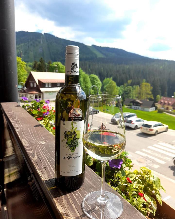 Grand Harrachov Pension V Centru Екстер'єр фото